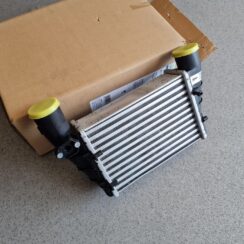 Interkūleris priekš